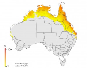 NRM regions and projected climatic suitability (EI) for mimosa based on CSIRO Mk3 global climate model (GCM) projections for 2070, based on the A1B SRES emissions scenario