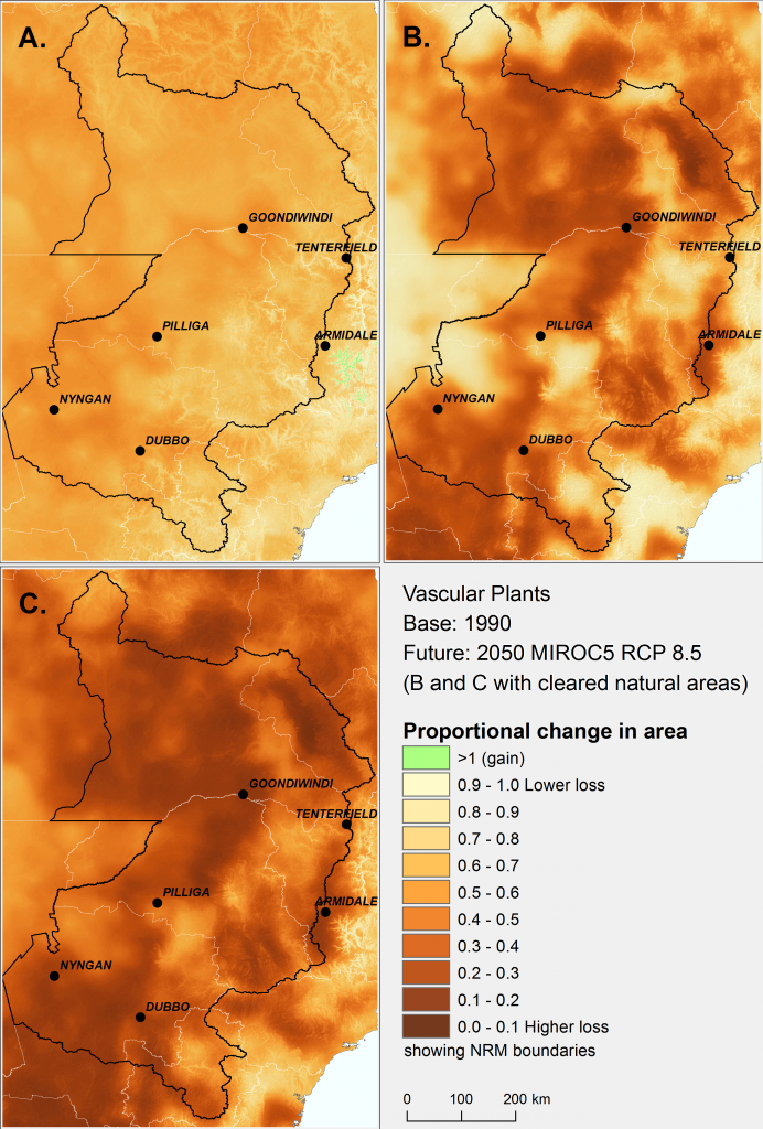 The change in effective area of similar ecological environments for vascular plants by 2050 in north-eastern New South Wales and south-eastern Queensland under the high emissions’ mild MIROC5 climate scenario. Darker colours signify areas greater loss of effective area. A) loss of effective area due to climate change, B) effective area already lost to date due to past land clearing, C) the combined effects of past land clearing and climate change.
