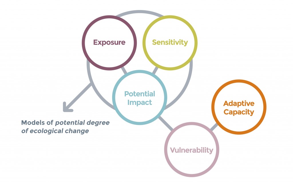 The general structure of vulnerability analyses, showing that models of potential degree of ecological change can be used as the ‘potential impact’ layer - a synthesis of climate exposure and sensitivity. Other threats may be incorporated as reductions to adaptive capacity.