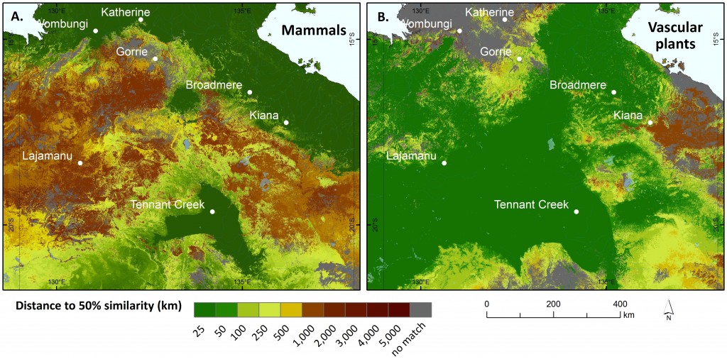 Need for assisted dispersal for mammals (A) in parts of the Northern Territory under the high emissions hot CanESM2 climate scenario by 2050, compared with the same scenario for vascular plants (B).