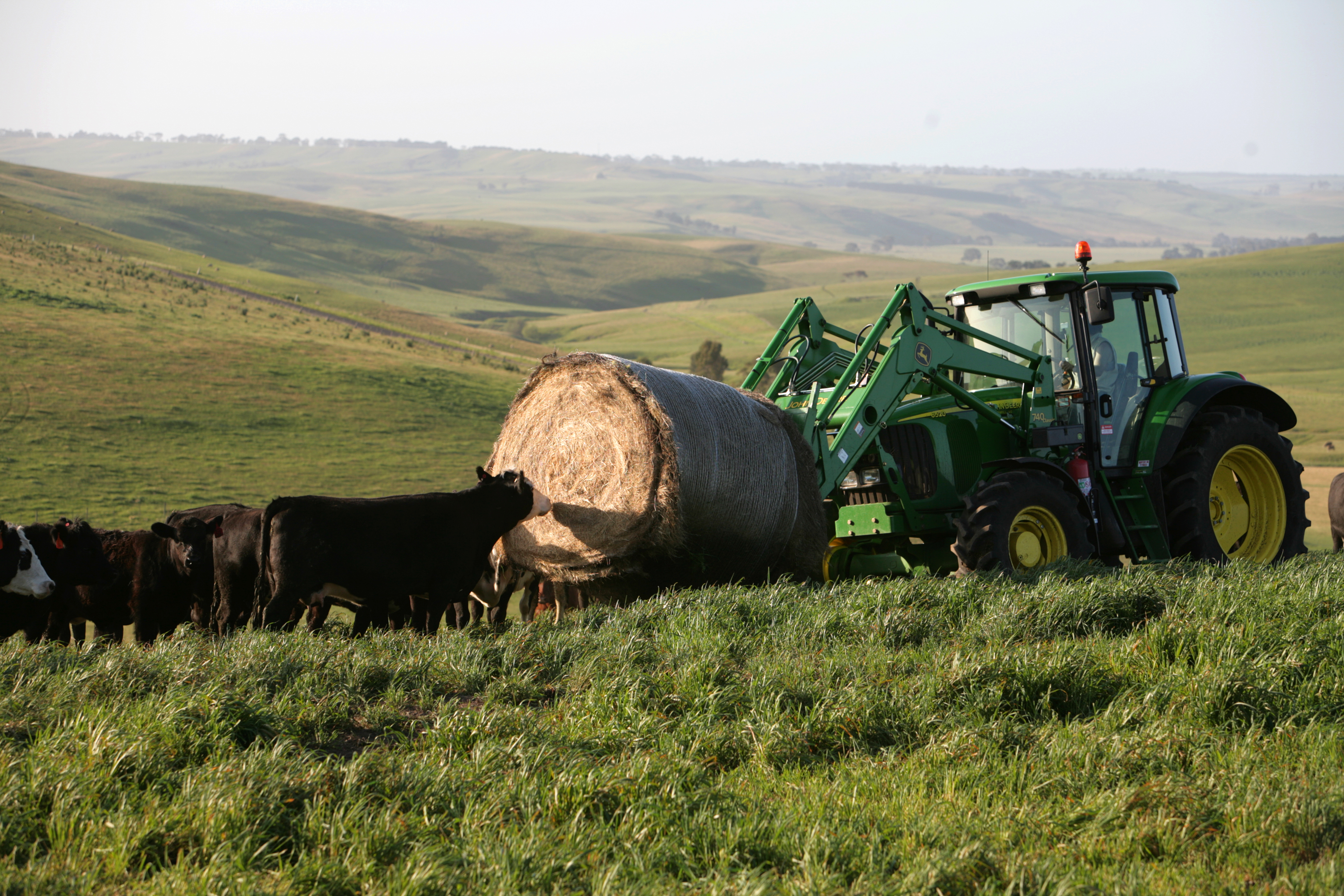 Farming near Casterton. Photo Richard Murphy