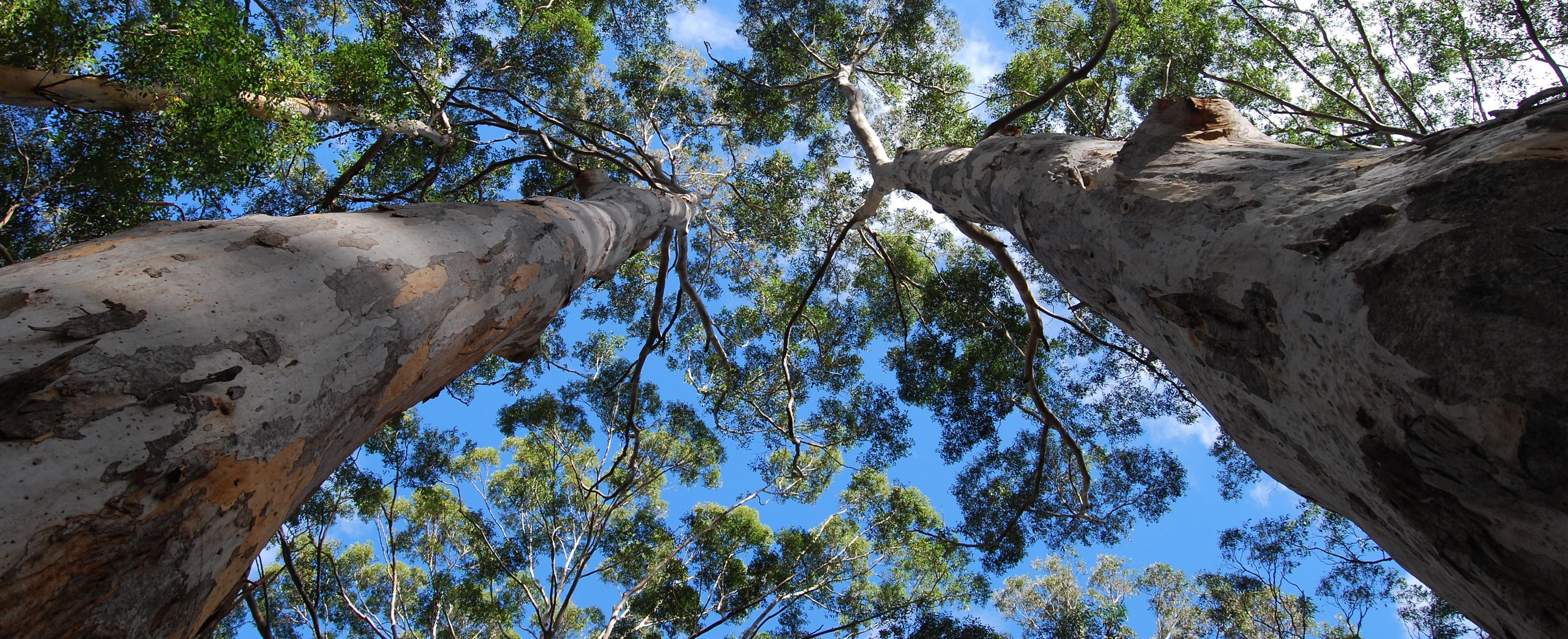 Margaret River; Source: South West Catchments Council; Credit: Damien Postma